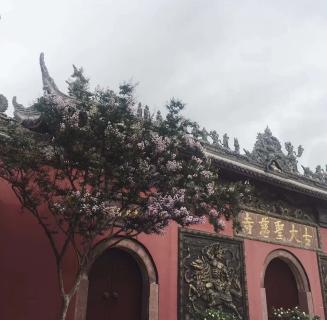 摩登7娱乐：助力公益活动建设，实现经济效益与社会效益的双赢！